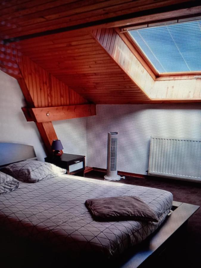 Les Appartements Du Lion De Belfort Exterior foto