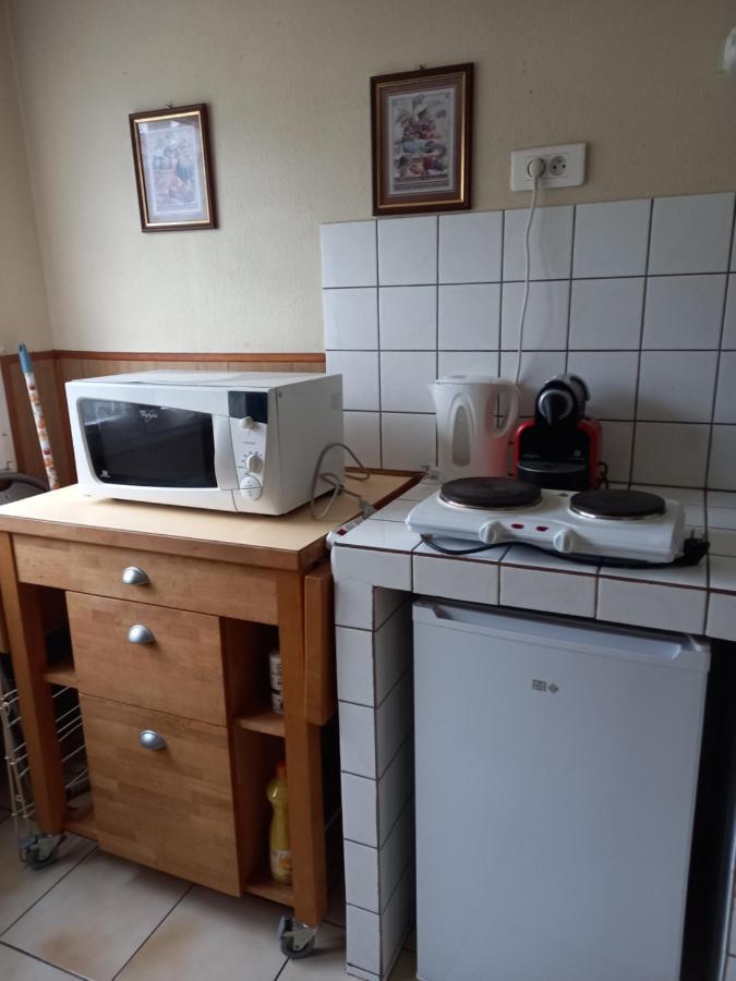 Les Appartements Du Lion De Belfort Exterior foto