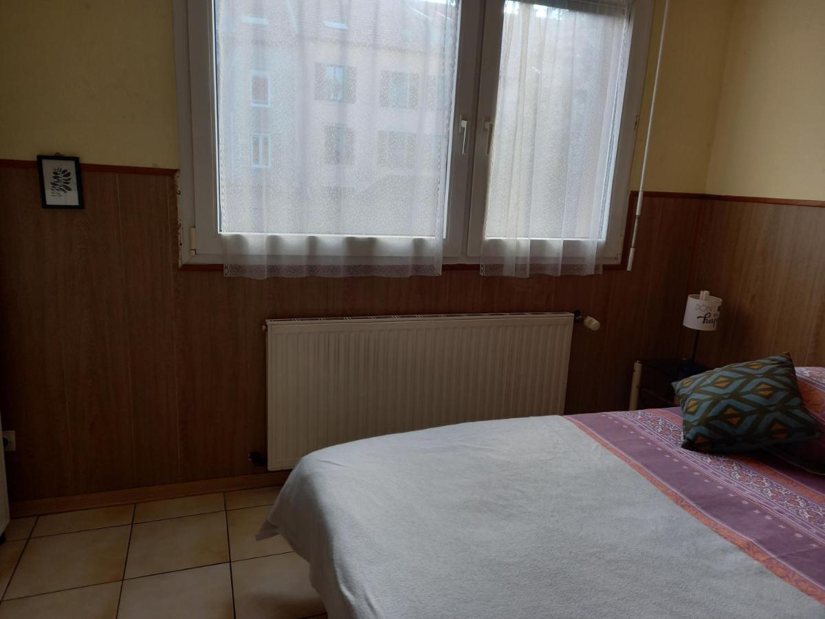 Les Appartements Du Lion De Belfort Exterior foto