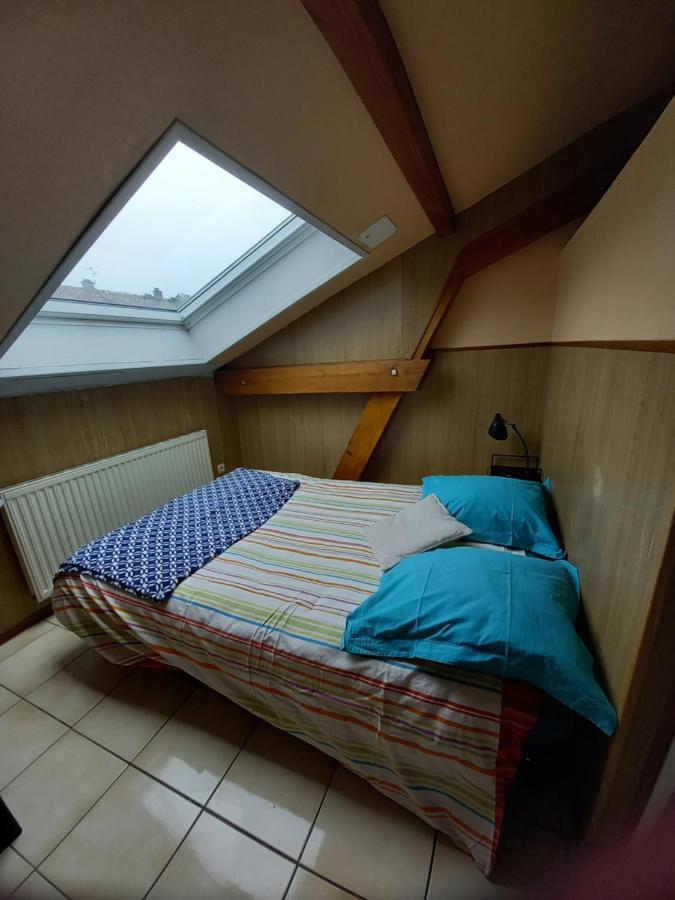 Les Appartements Du Lion De Belfort Exterior foto
