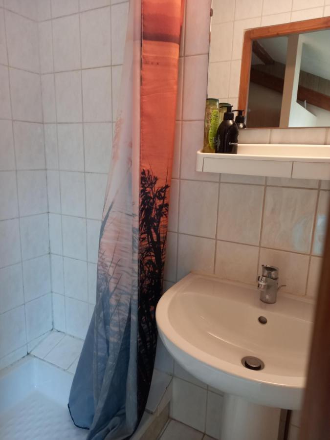 Les Appartements Du Lion De Belfort Exterior foto